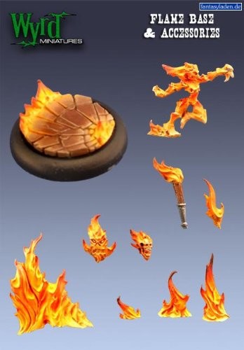 FLAME BASE INSERT AND ACCESSORIES -