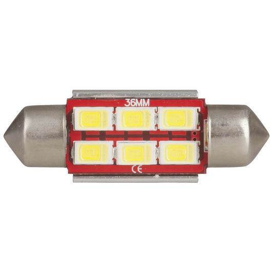 GLOBE LED FESTOON 36MM 6X5730 12V CW - ZD0752