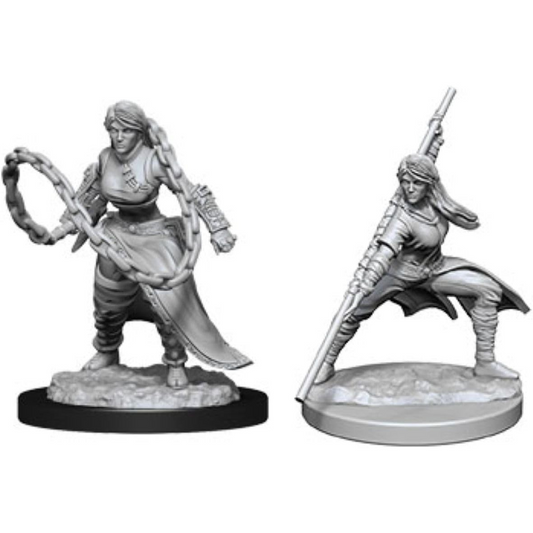 D&D NOLZURS HUMAN MONK - WZK90225