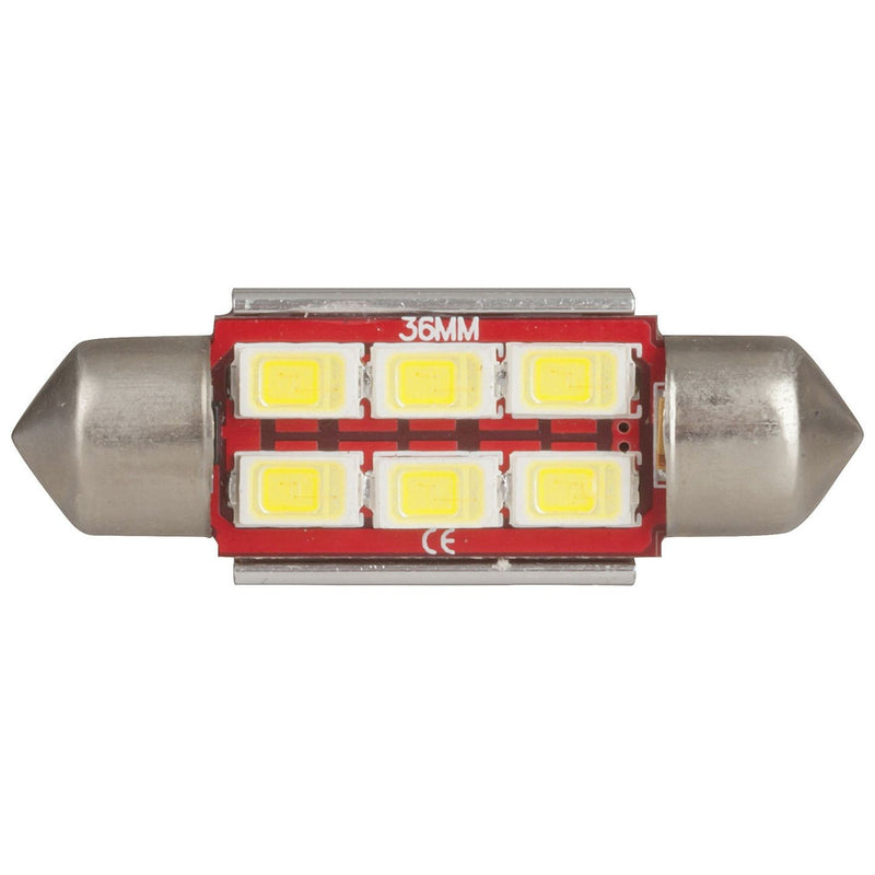 GLOBE LED FESTOON 36MM 6X5730 12V CW - ZD0752