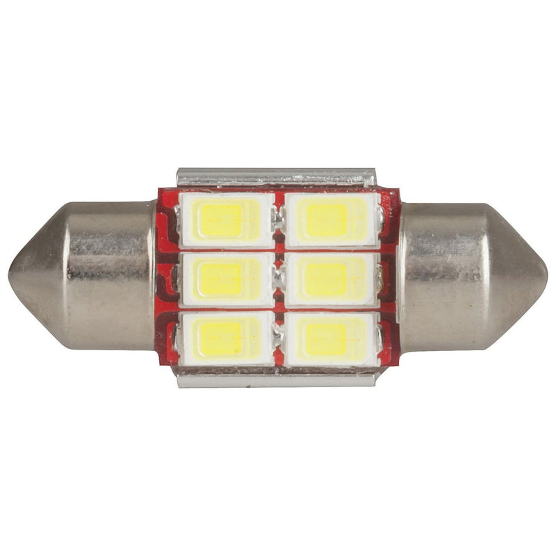 GLOBE LED FESTOON 31MM 6X5730 12V CW - ZD0750