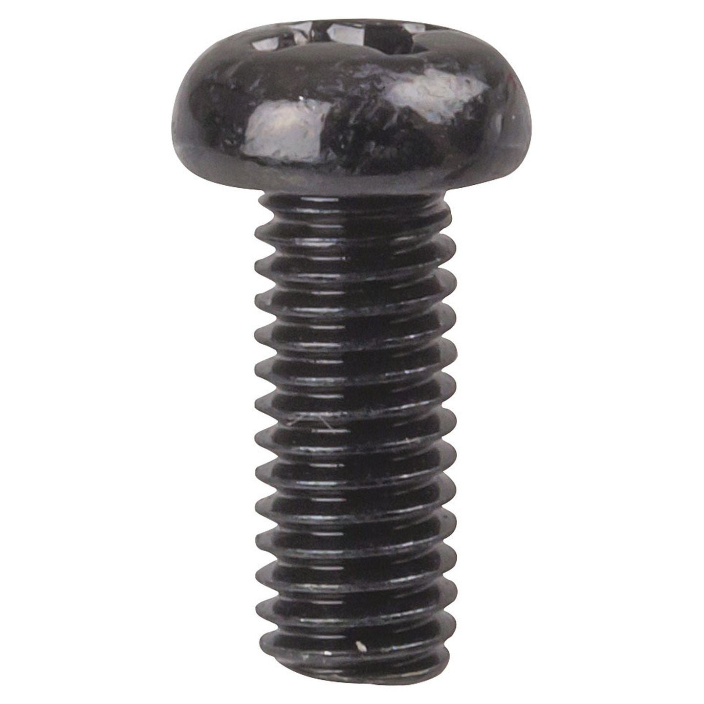 SCREW M6X16MM C/H BLK PK12 - HP0300