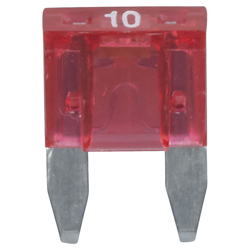 FUSE BLADE MINI W/LED INDICATOR 10A RED - SF5076