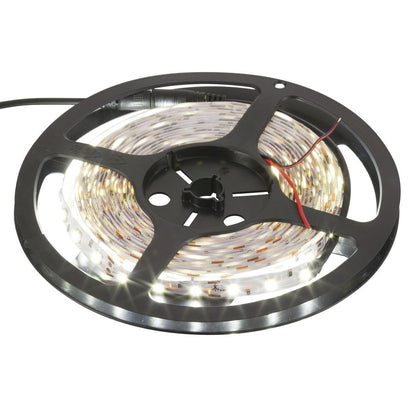 LED FLEX STRIP 5050X60/M BUDGET WHT 5M - ZD0575
